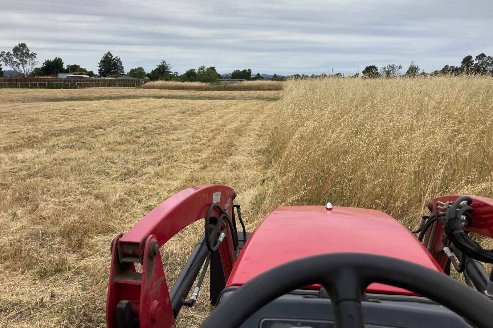 Lawn Mowing Service near me